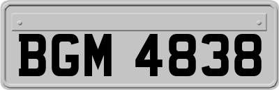BGM4838