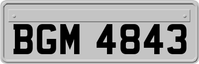 BGM4843