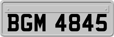 BGM4845