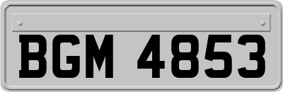 BGM4853
