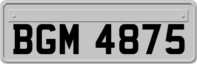 BGM4875