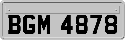 BGM4878