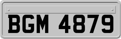 BGM4879