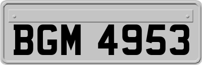 BGM4953