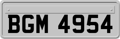BGM4954