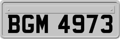 BGM4973