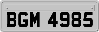 BGM4985