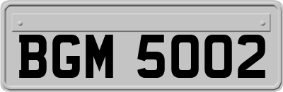 BGM5002