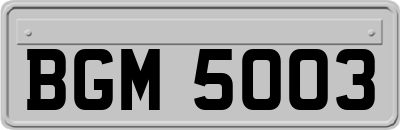 BGM5003