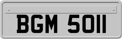 BGM5011