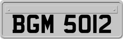 BGM5012