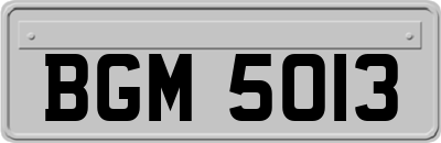BGM5013
