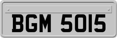 BGM5015
