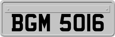 BGM5016