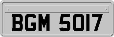 BGM5017