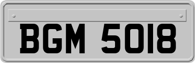 BGM5018