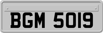 BGM5019