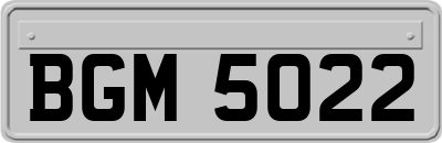 BGM5022