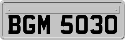 BGM5030