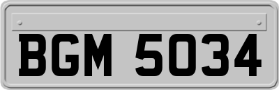 BGM5034