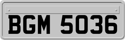 BGM5036