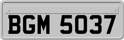 BGM5037