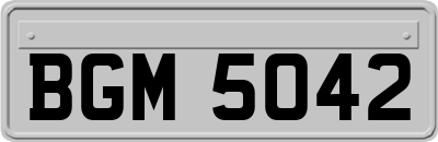BGM5042