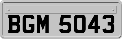 BGM5043