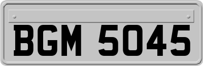 BGM5045