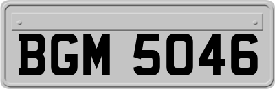 BGM5046