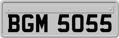 BGM5055
