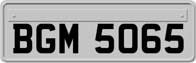 BGM5065