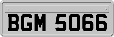 BGM5066