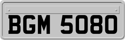 BGM5080