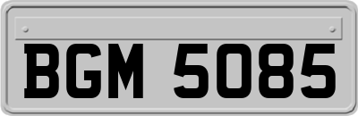 BGM5085