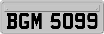 BGM5099