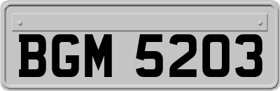BGM5203