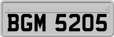 BGM5205