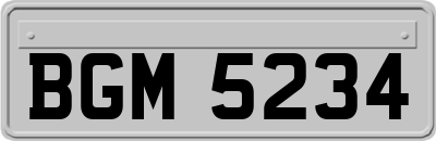 BGM5234