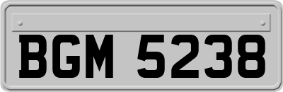 BGM5238