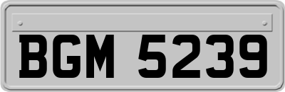 BGM5239