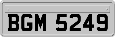 BGM5249