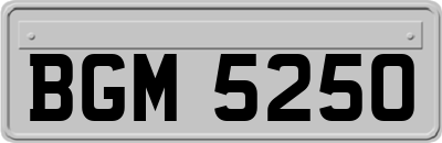 BGM5250