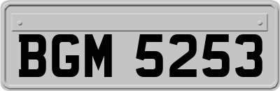 BGM5253