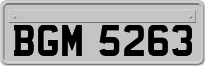 BGM5263