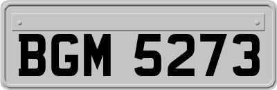 BGM5273