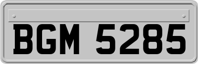 BGM5285