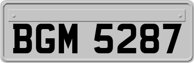 BGM5287