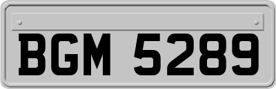 BGM5289