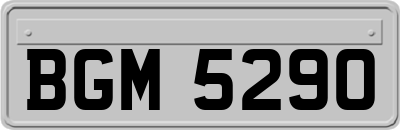 BGM5290
